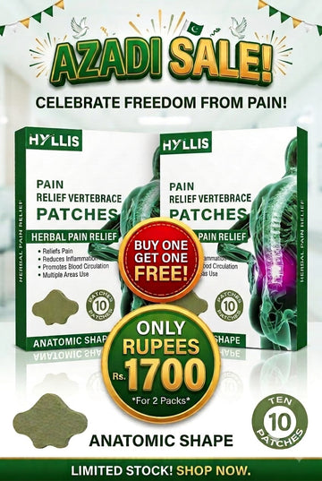 JAPANESE PAIN RELEIF PATCH(10 PC)